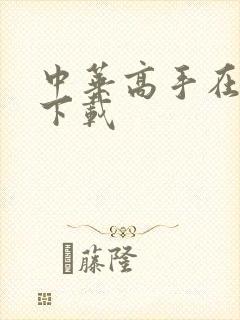 中华高手在异世下载