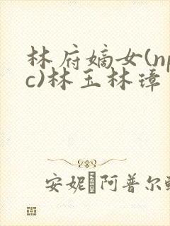 林府嫡女(npc)林玉林璋