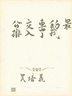 公交车的最后一排入了我