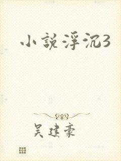 小说浮沉3