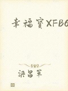 幸福宝XFB6