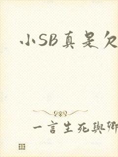 小SB真是欠C