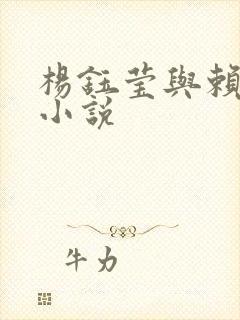 杨钰莹与赖昌星小说