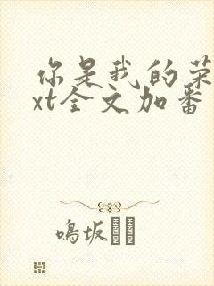 你是我的荣耀txt全文加番外