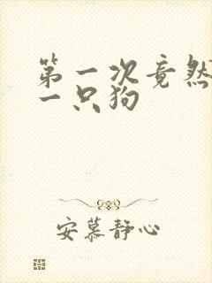 第一次竟然给了一只狗