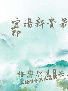 官场新贵最新章节