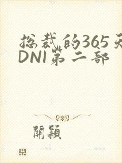 总裁的365天DNI第二部