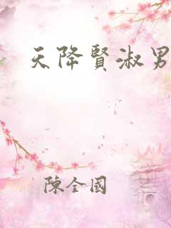 天降贤淑男小说