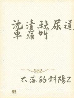 沈清秋尿道扩张车痛叫