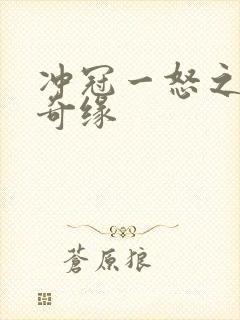 冲冠一怒之合租奇缘