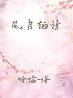 风月栖情