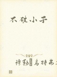不破小子