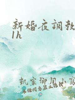 新婚夜调教1v1h