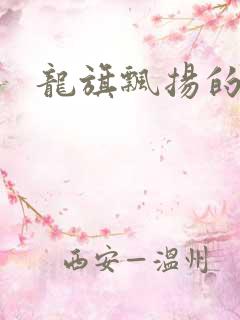 龙旗飘扬的舰队