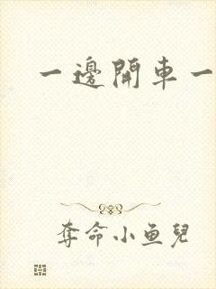 一边开车一边做