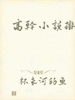 高干小说排行榜