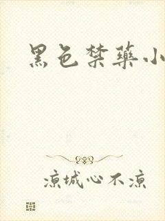 黑色禁药小说