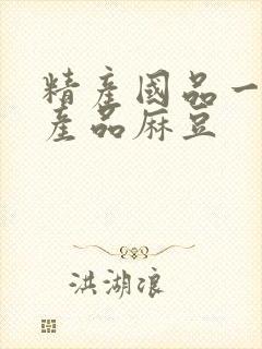 精产国品一二三产品麻豆