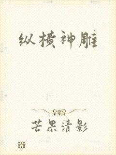 纵横神雕