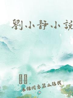 刘小静小说