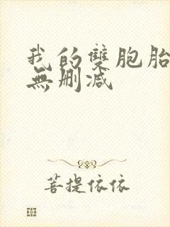 我的双胞胎老婆无删减