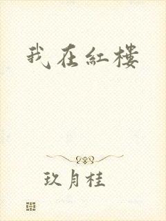 我在红楼