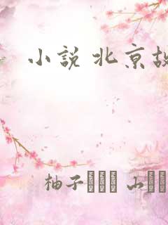 小说 北京故事