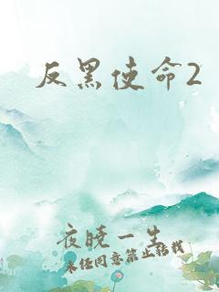 反黑使命2