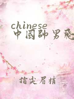 chinese中国帅男飞机