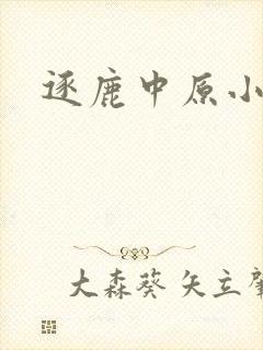 逐鹿中原小说