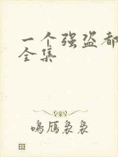 一个强盗都不留全集