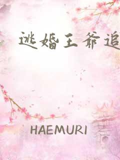 逃婚王爷追逃妃