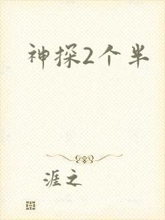 神探2个半