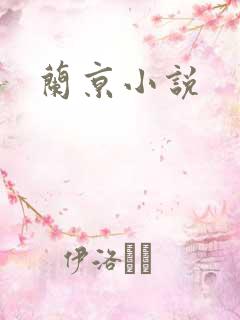 兰京小说