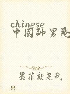 chinese中国帅男飞机