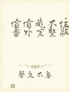 偷偷藏不住新婚番外完整版