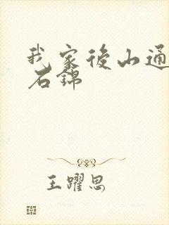 我家后山通仙界石锦
