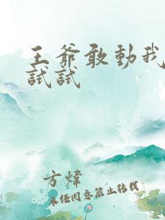 王爷敢动我妈咪试试