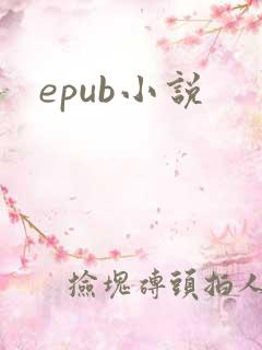 epub小说