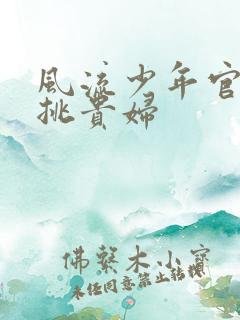 风流少年官途情挑贵妇