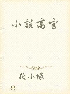 小说高官