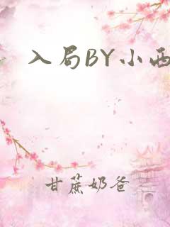 入局BY小西