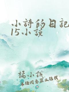 小诗的日记1一15小说