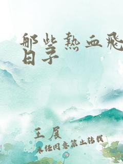 那些热血飞扬的日子