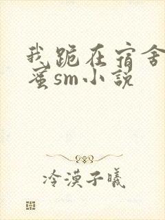 我跪在宿舍被闺蜜sm小说