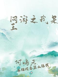 网游之我是海贼王