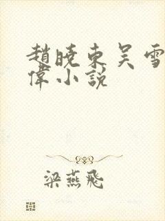 赵晓东吴雪晴郑伟小说