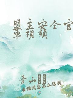 盟主安全官开火车视频