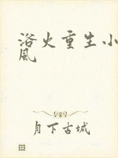 浴火重生小说陈风