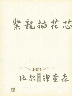 紫龙插花芯方正